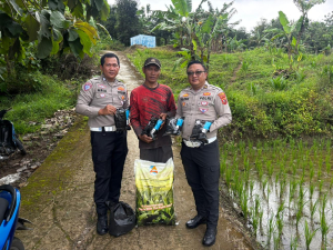 BIBIT JAGUNG: SATLANTAS POLRES KUNINGAN SALURKAN BANTUAN UNTUK PETANI CIBULAN