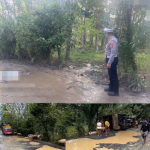 Polisi Gerak Cepat Tangani Kecelakaan Tunggal Truk Pengangkut Ternak di Banjit Way Kanan