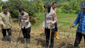 Ketahanan Pangan Kuningan Diperkuat, Satlantas Polres Kuningan Pantau Tanaman Jagung di Desa Cibulan