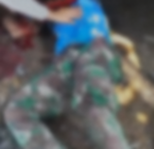 Video Viral Warga Sekincau Dimakan Binatang Buas Dipastikan Hoaks
