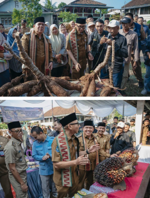 Gubernur Mirza Turun ke Sawah Tebing, Sosialisasikan POC dan Drone Pertanian: Produksi Naik Jadi 7 Ton/Ha