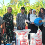 Dukung Ketahanan Pangan TMMD Ke-129, Kodim 0620/Kab. Cirebon Bersama DKPP Salurkan 1.200 Bibit Lele dan 60 Kg Pakan untuk Warga Desa Luwung Kencana