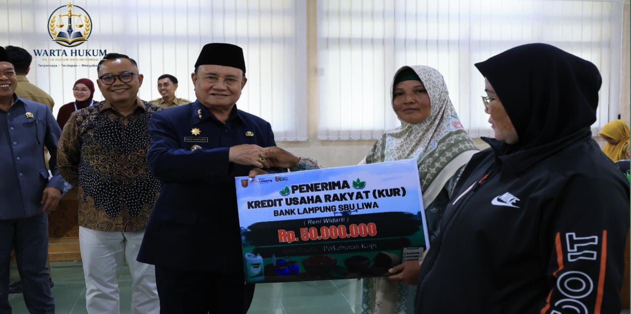 Pemkab Lampung Barat Gandeng OJK Perkuat Akses Permodalan UMKM