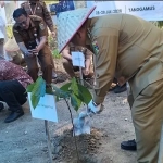 Bupati Tanggamus Targetkan Hilirisasi Kopi Demi Tingkatkan Nilai Ekonomi Petani