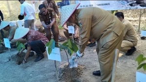 Bupati Tanggamus Targetkan Hilirisasi Kopi Demi Tingkatkan Nilai Ekonomi Petani