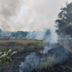 Kebakaran Lahan Kosong di Citra Raya Tangerang, Asap Hitam Gegerkan Warga