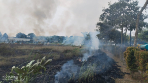Kebakaran Lahan Kosong di Citra Raya Tangerang, Asap Hitam Gegerkan Warga