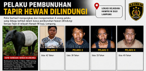 Pembunuh Tapir di Mesuji Lampung Ditangkap, Polisi Ungkap Peran dan Motif Pelaku