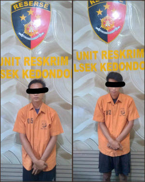 Tekab 308 Polsek Kedondong Tangkap Pelaku Pencurian HP dan Penadah di Way Khilau