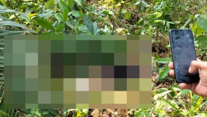 Pria Diduga Curi Sawit di Muba Tewas, Pelaku Diamankan Polisi