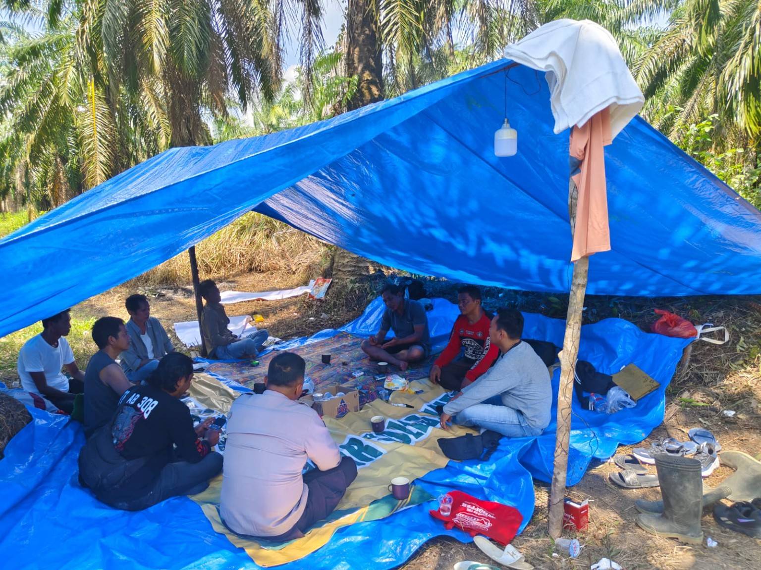 Deadlock Mediasi Konflik Agraria Mesuji, Masyarakat Lanjutkan Reklaming Lahan Blok O:40, O:41, dan O:42