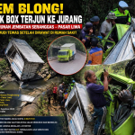 Kecelakaan Tunggal Truk Box di Liwa, Diduga Rem Blong hingga Terjun ke Jurang 20 Meter