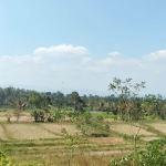 Pembangunan Irigasi di Padang Temu Disambut Antusias Warga