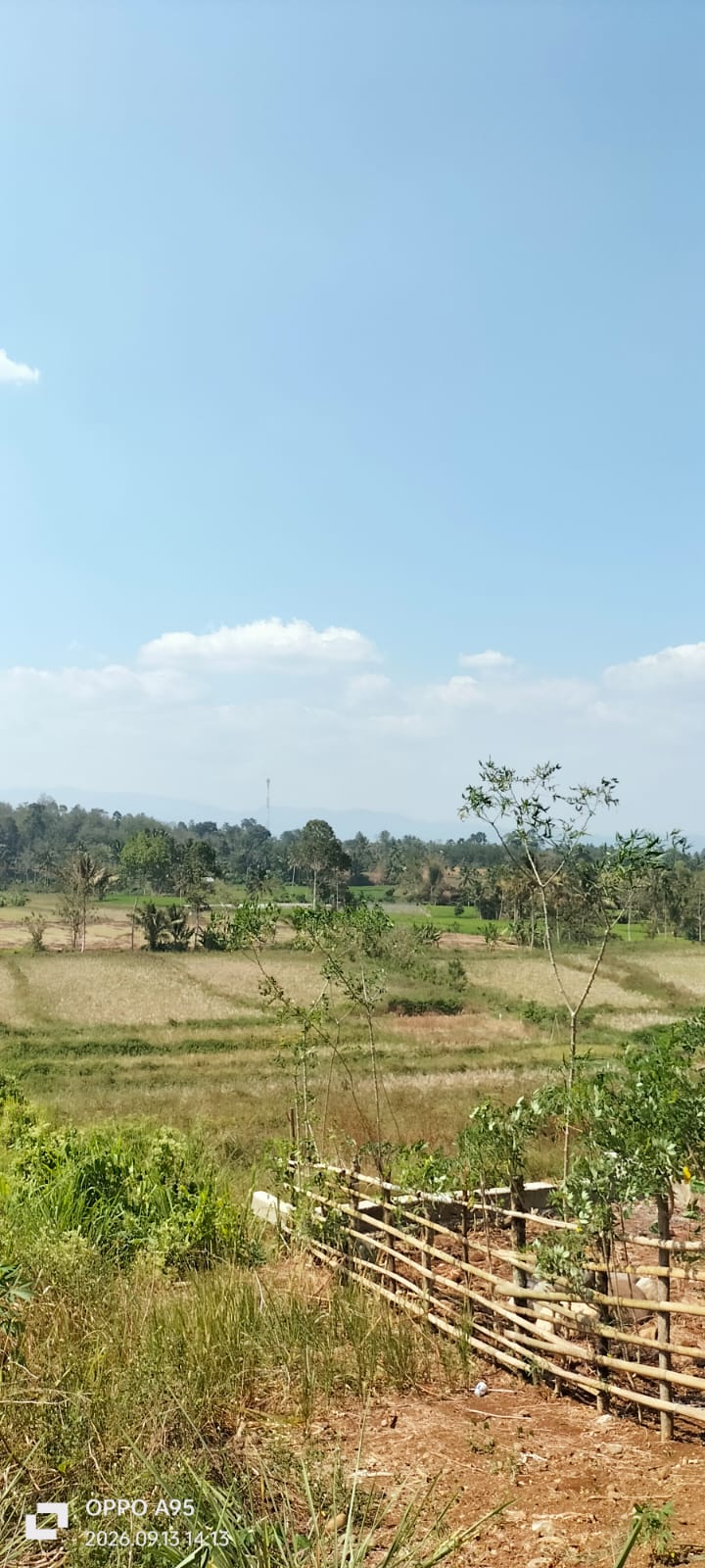 Pembangunan Irigasi di Padang Temu Disambut Antusias Warga