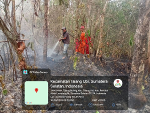 Kebakaran Lahan di Simpang Tais Talang Bulang Belum Diketahui Penyebabnya
