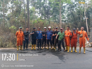 Kebakaran Lahan di Talang Rimba Berhasil Dipadamkan Tim Gabungan
