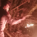 Bhabinkamtibmas Gerak Cepat Tangani Kebakaran Perkebunan Bambu di Tanjung Rejo