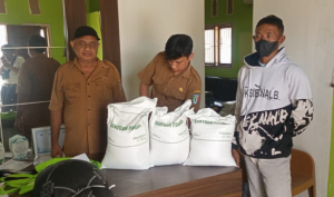 Pekon Panggung Rejo Utara Salurkan 756 Sak Beras kepada 256 KPM