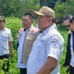 Sekda Tanggamus Tinjau Tanggul Way Belu, Siapkan Penanganan Darurat