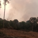 Kebakaran Lahan 10 Hektare di Gunung Megang Berhasil Dipadamkan