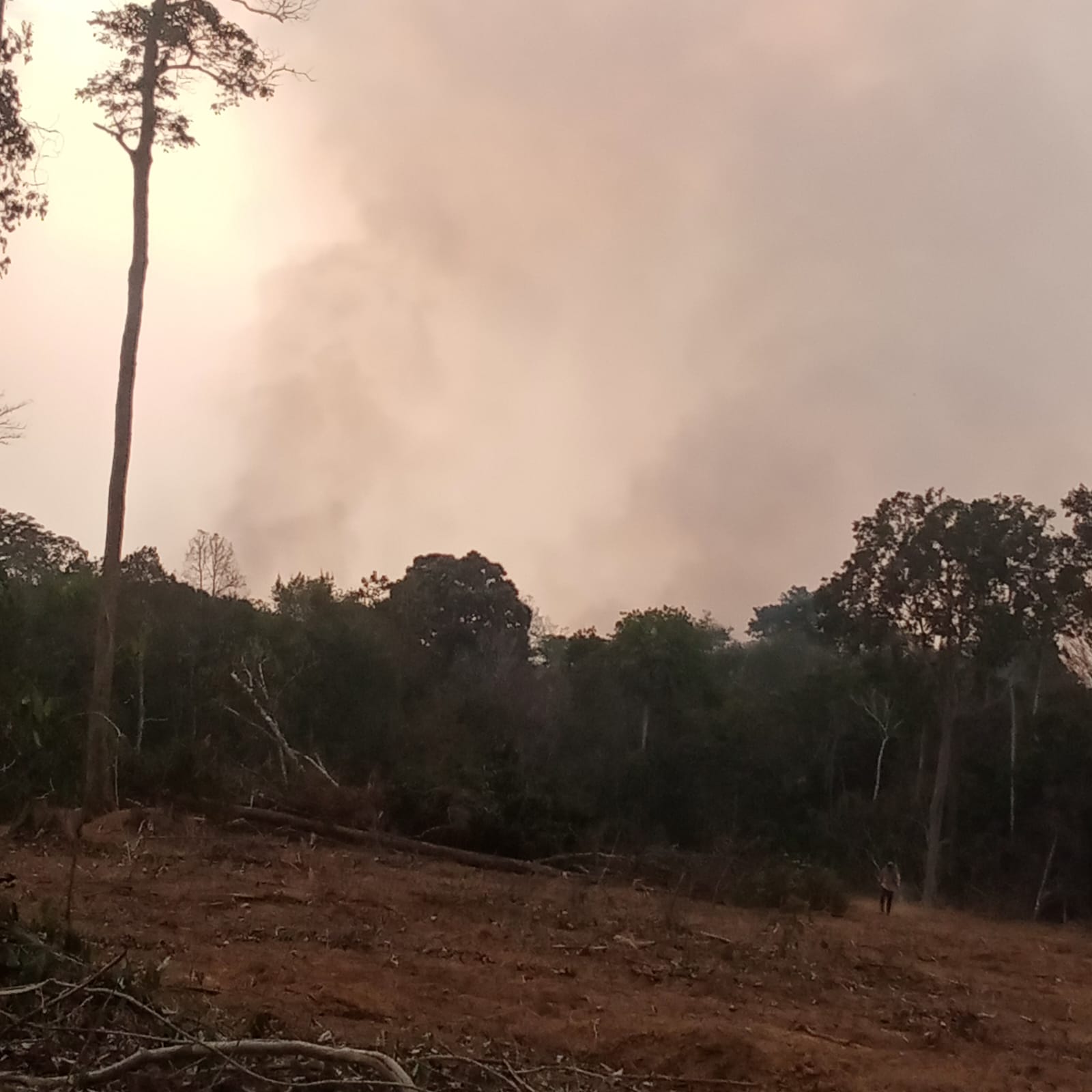 Kebakaran Lahan 10 Hektare di Gunung Megang Berhasil Dipadamkan