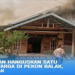 Kebakaran Hanguskan Rumah Warga di Pekon Balak Lampung Barat