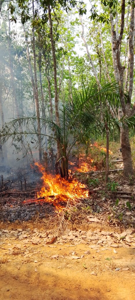 Tim RKP PT Surya Bumi Agro Langgeng Padamkan Kebakaran Lahan di Benakat