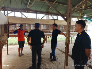 Dukung Ketahanan Pangan dan Pembinaan Kemandirian, Karutan Manna Bersama Ka KPR Pantau Peternakan Ayam Kampung Super dan Pembesaran Ayam Petelur