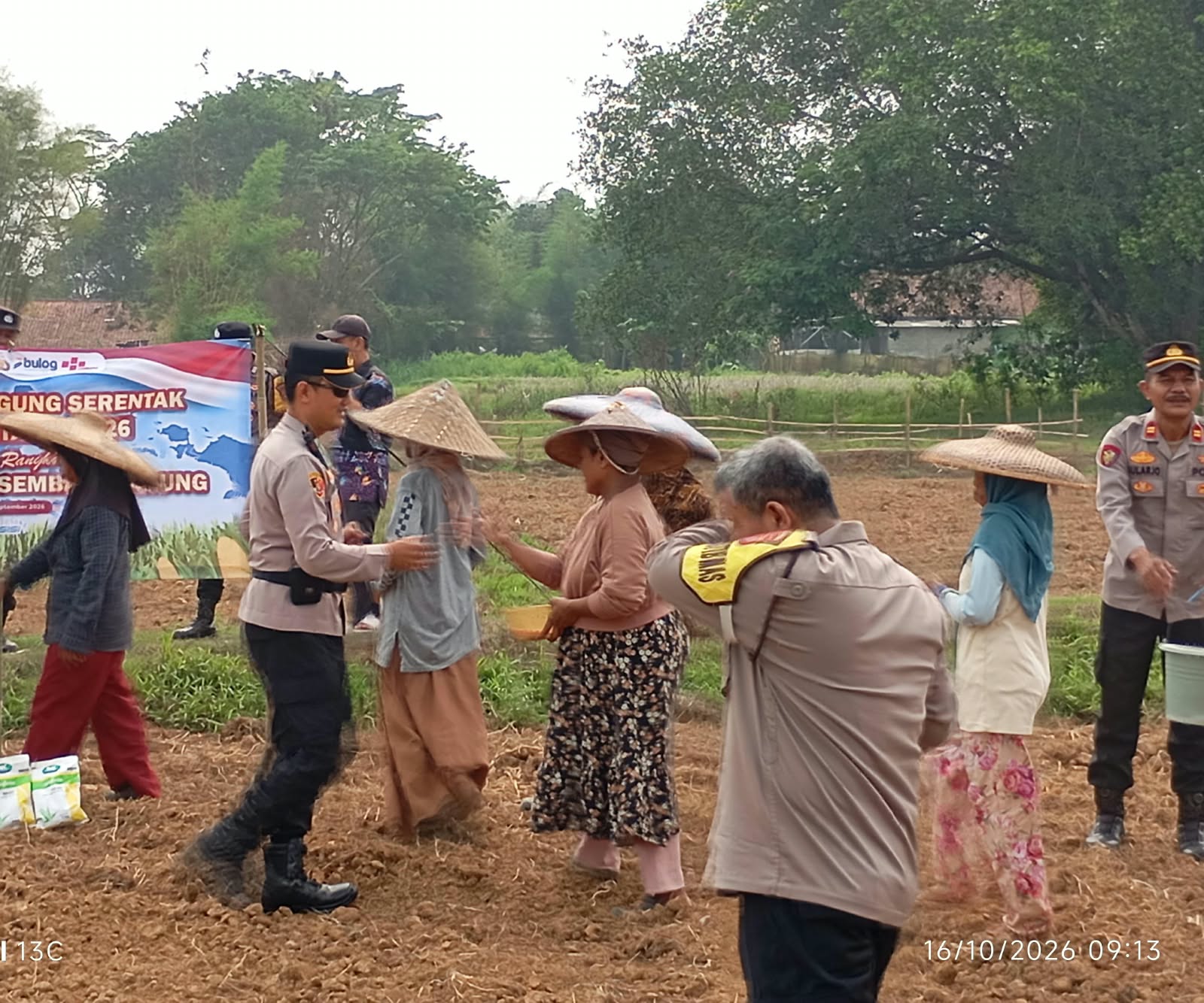 Polsek Tigaraksa dan Warga Jambe Tanam Jagung Hibrida