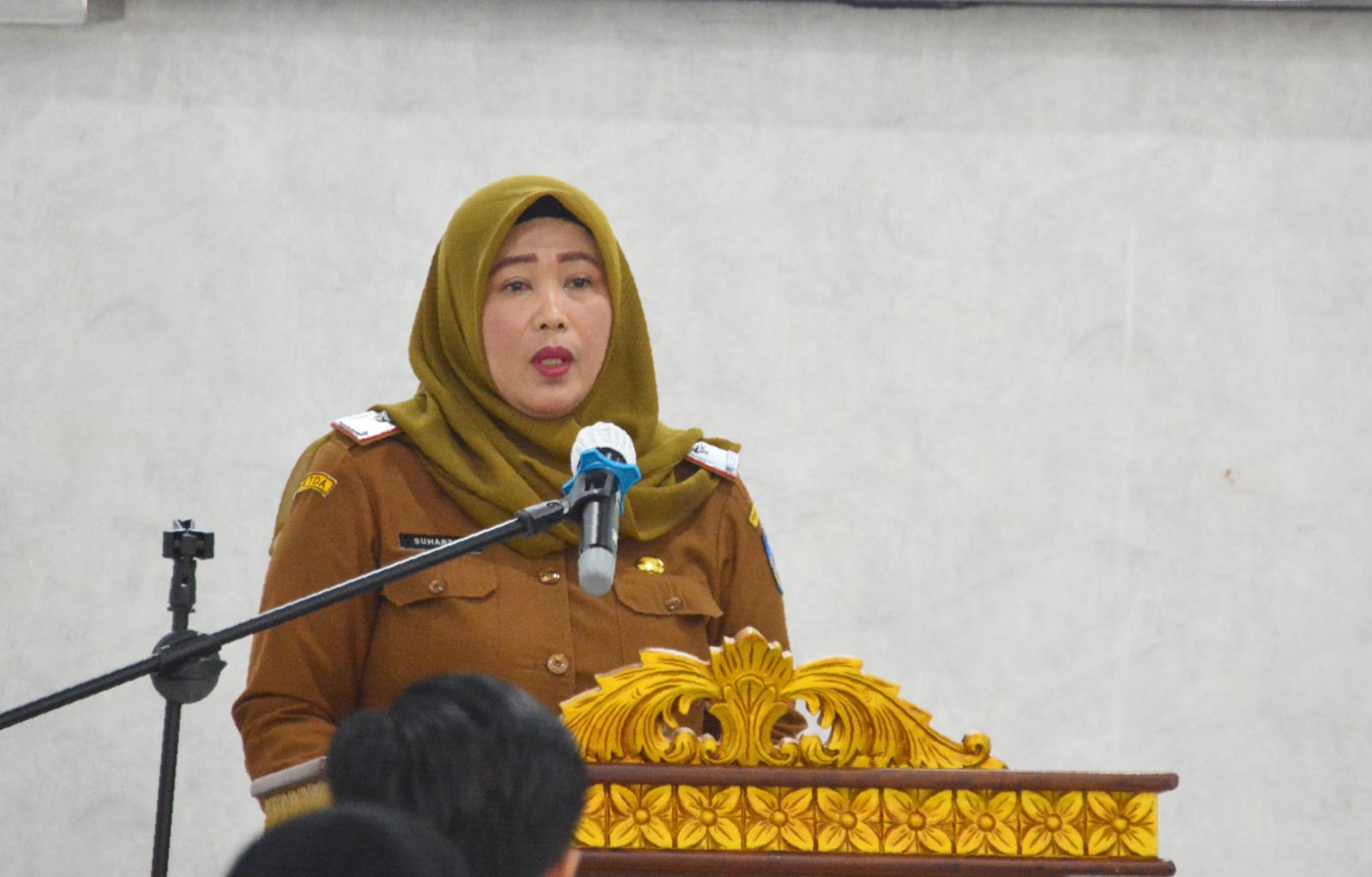 Kabut Asap, Pemko Langsa Alihkan Pembelajaran Sekolah ke Daring