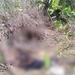 Remaja Hilang di Muara Enim Ditemukan Tinggal Tengkorak