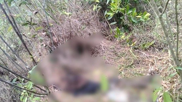 Remaja Hilang di Muara Enim Ditemukan Tinggal Tengkorak