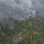 Karhutla Sumsel Belum Padam, Ratusan Hektare Lahan Masih Terbakar