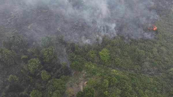 Karhutla Sumsel Belum Padam, Ratusan Hektare Lahan Masih Terbakar